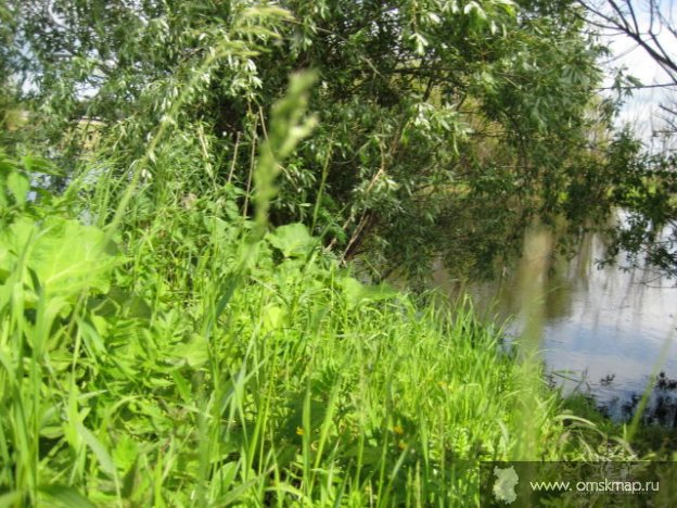 Речка за огородами Речка за огородами