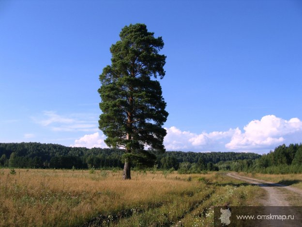 Дорога в Луговое Аксёново.