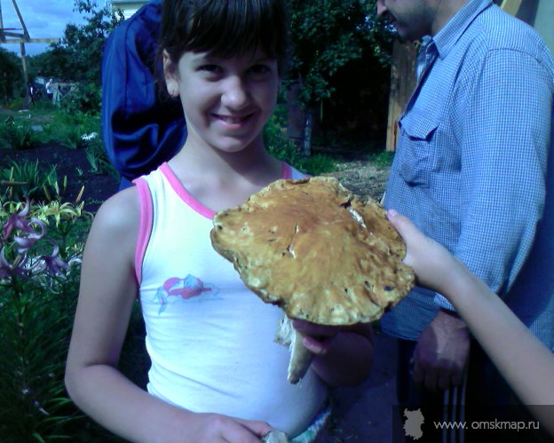Местные грибочки