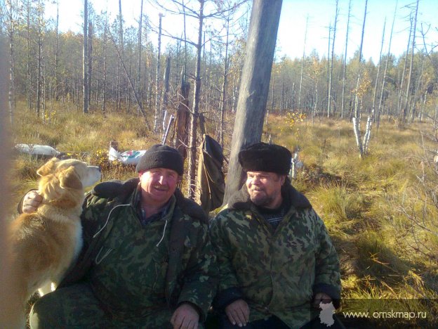 Тайга. Сбор клюквы. Тайга. Сбор клюквы.