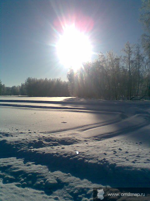 Зимний лес в пригороде