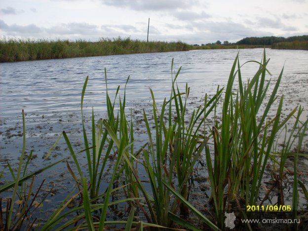 р. Карасук р. Карасук