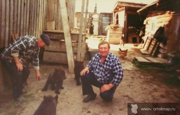 Три медведя Три медведя