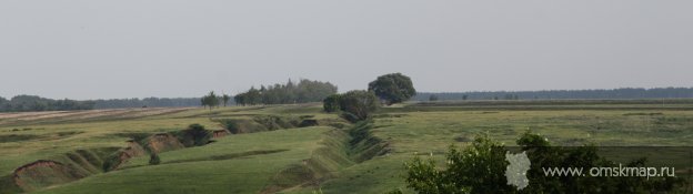 Берег Оми восточнее деревни, выше по течению