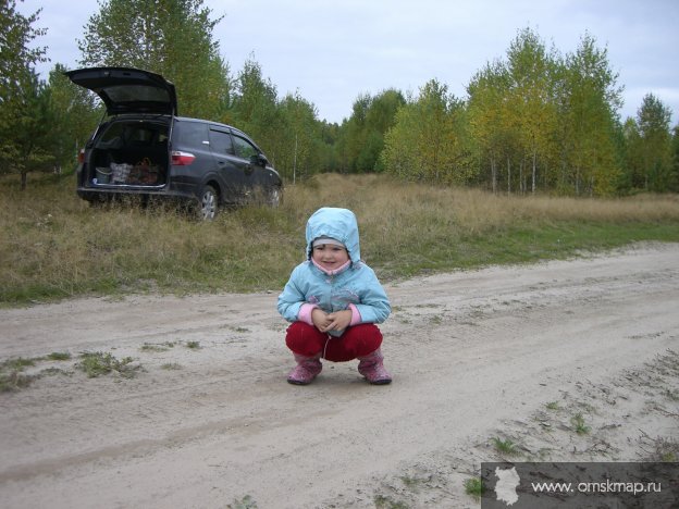 Эх...Дороги...