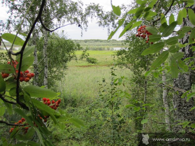 Вид на Иртыш (над родником)