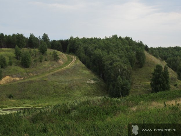 Второй березовый лог (от дамбы)