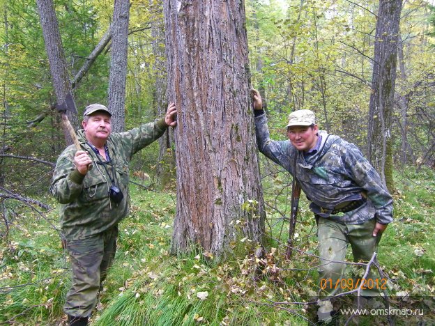 Осень в Тайге 2012г Осень в Тайге 2012г