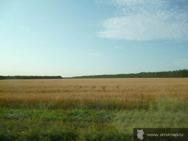 Вид на бывшую улицу Ярмарочного вправо от скотных дворов 2012 г.