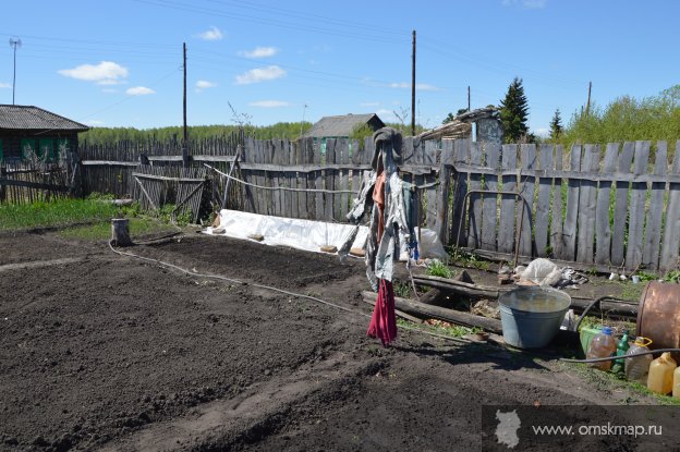 Пугало на нашем огороде