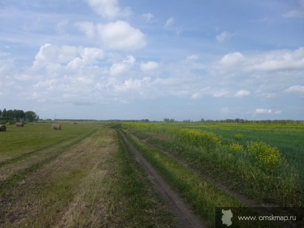 Дорога на д. Петровку через Байгачи Дорога на д. Петровку через Байгачи