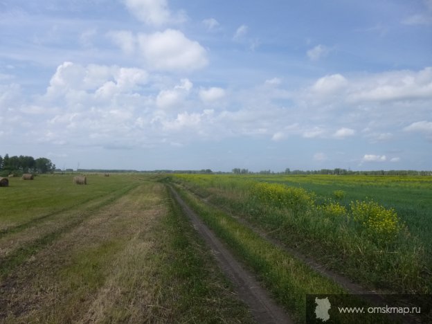 Дорога на д. Петровку через Байгачи