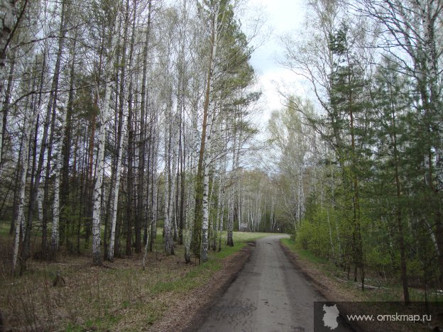 По дороге на базу По дороге на базу