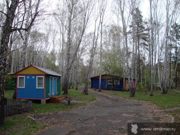 Средь берез и сосен Средь берез и сосен