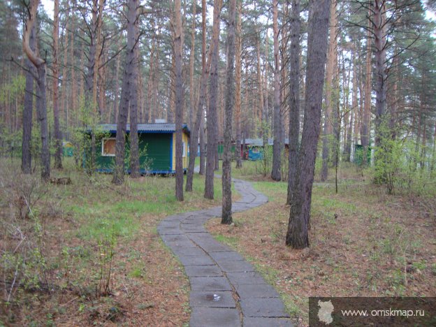Среди сосен Среди сосен