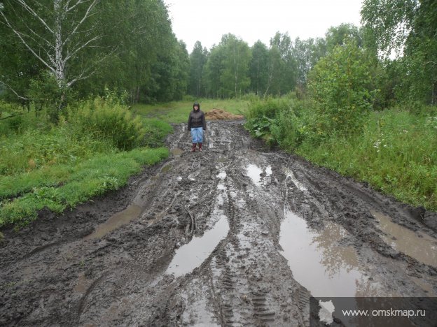 По дороге к Энерго центру. Лето 2013 года