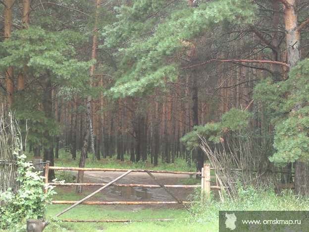 Окунёво. Дорога в сказку Окунёво. Дорога в сказку