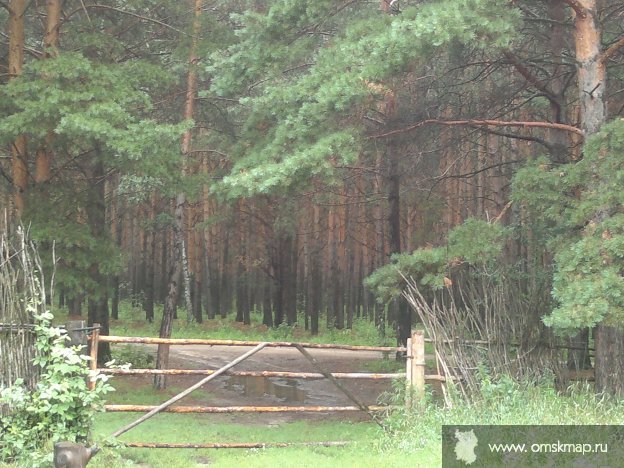 Окунёво. Дорога в сказку