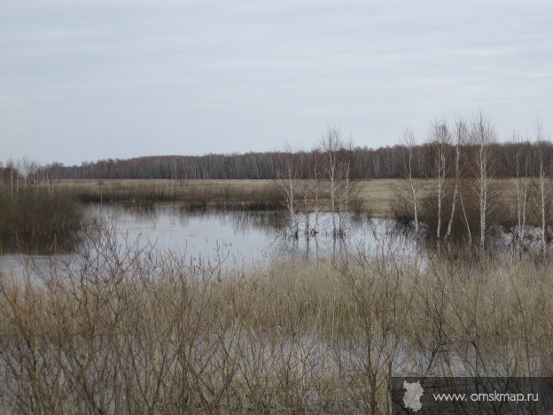 Весна в Усть-Логатке