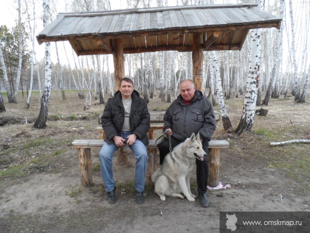 Два брата Сергей и Александр Крайновы на пути к родителям в Решетниково