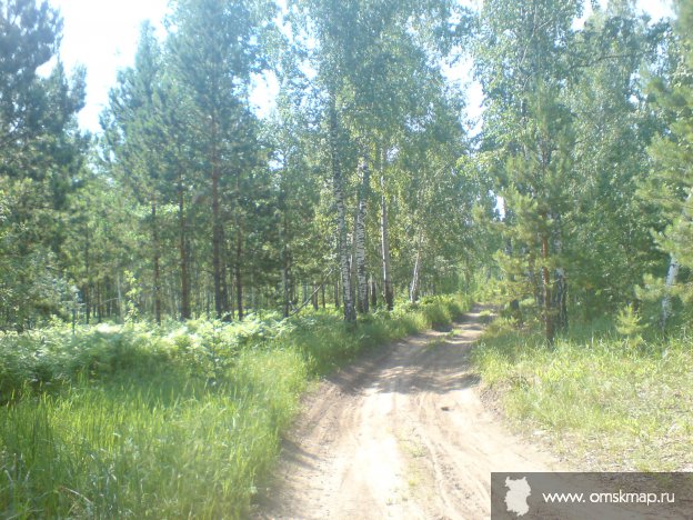 Дорога на борок Дорога на борок