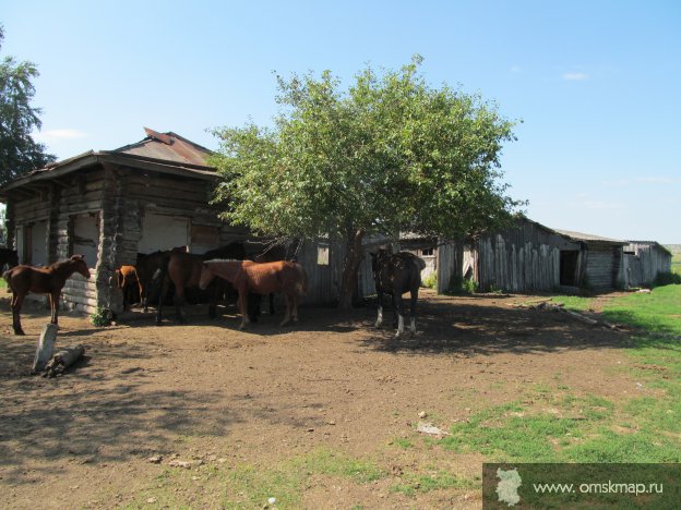 Вид на деревню