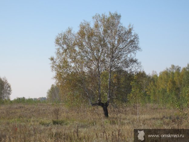 Береза-Троица