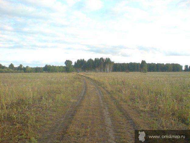 В поля луговые уводит дорога......