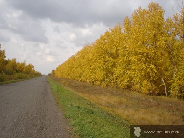 Дорога в Желанное. Осень