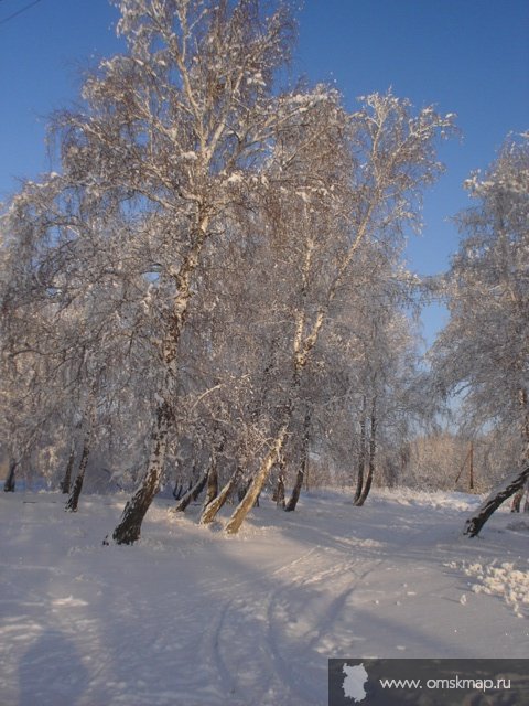 Зима. День чудесный.