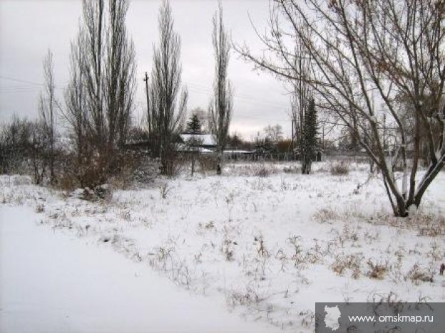 Первый снег Первый снег
