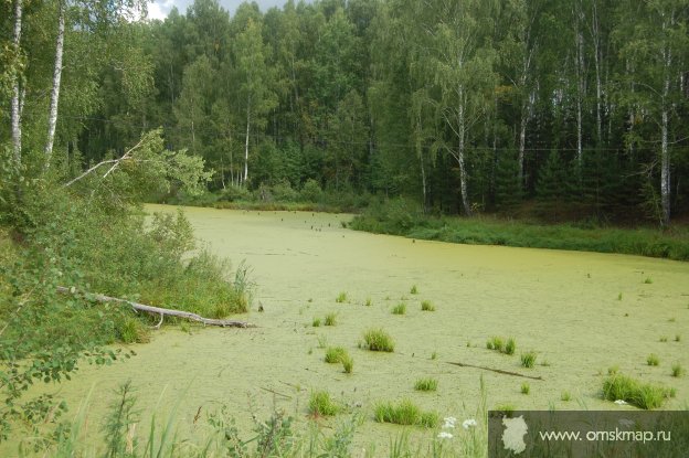 Где-то по дороге от Линево до Окунево