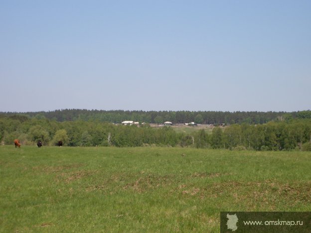 Вид на деревню. Река Тара (пески).