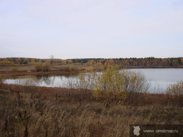 Осень золотая