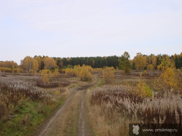 Осенняя дорога