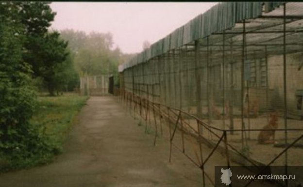 У вольера У вольера